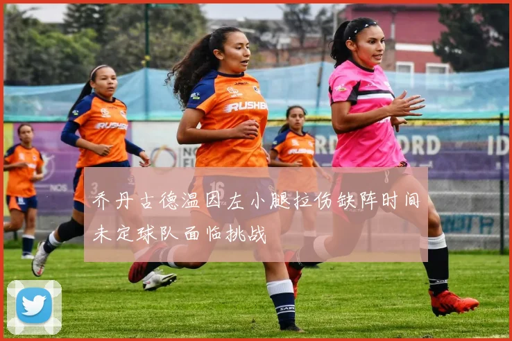 乔丹古德温因左小腿拉伤缺阵时间未定球队面临挑战