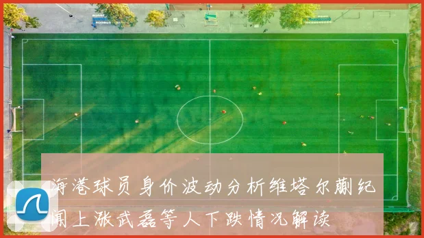 海港球员身价波动分析维塔尔蒯纪闻上涨武磊等人下跌情况解读