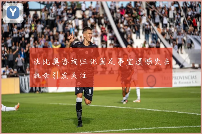 法比奥咨询归化国足事宜遗憾失去机会引发关注