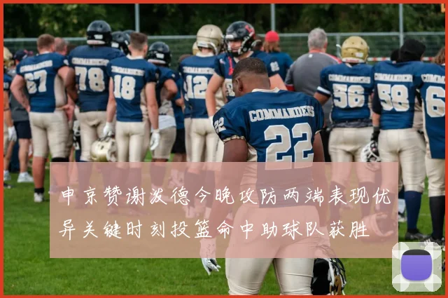 申京赞谢泼德今晚攻防两端表现优异关键时刻投篮命中助球队获胜