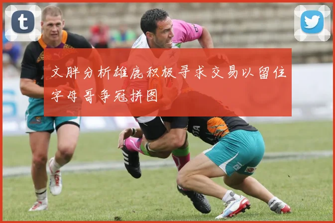 文胖分析雄鹿积极寻求交易以留住字母哥争冠拼图