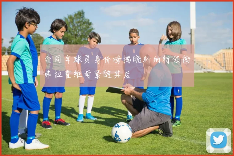 合同年球员身价榜揭晓科纳特领衔弗拉霍维奇紧随其后