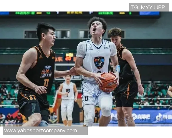 张家口体文旅篮球俱乐部全景解析NBL球队巡礼第4期精彩亮点与发展前景