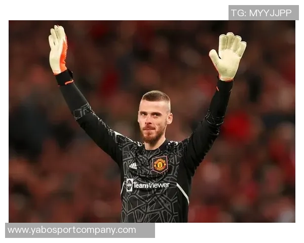 德赫亚深情致敬阿尔巴：场上场下皆是榜样朋友情谊永存